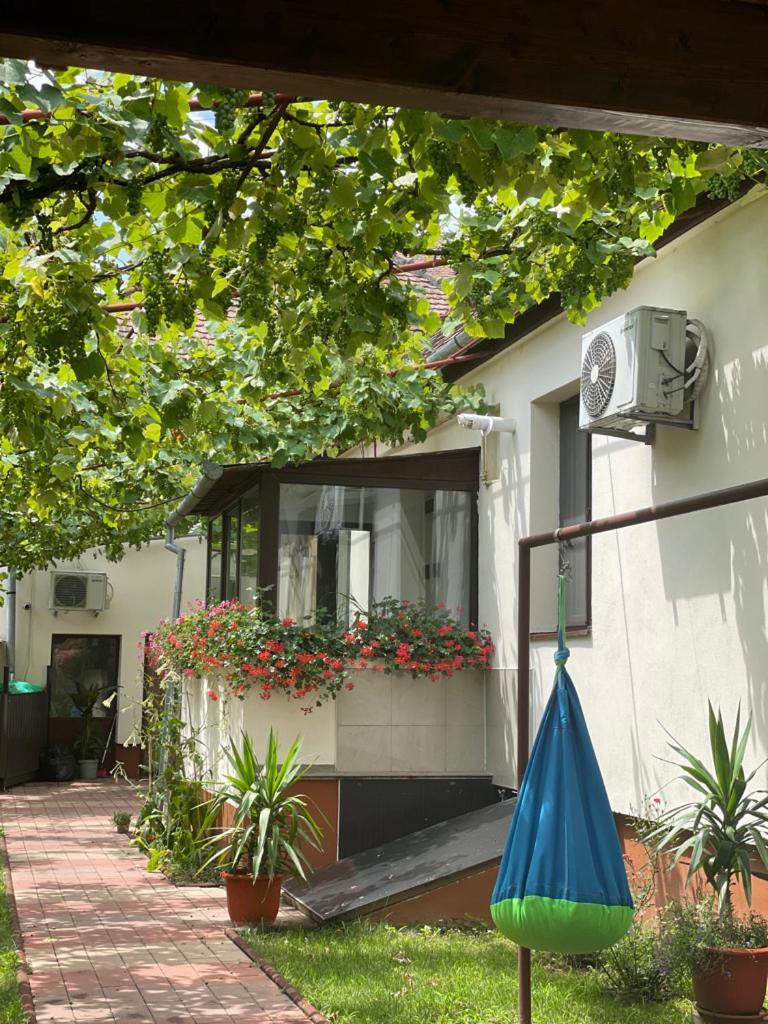 Ana'S Home Hermannstadt Exterior foto